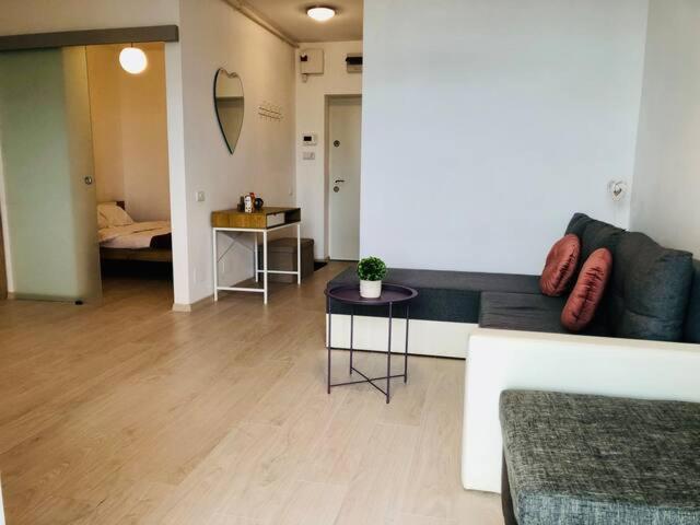 Joy City Stay Vivalia V4-5 Тімішоара Екстер'єр фото